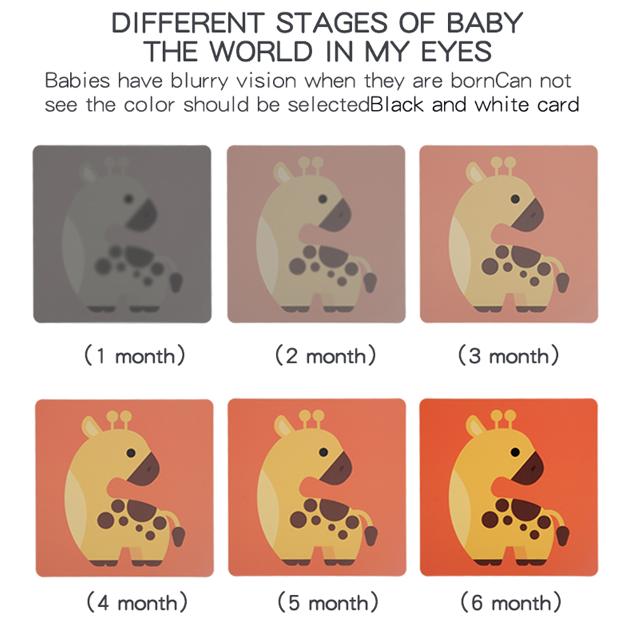 Cartes de Stimulation visuelle - Baby Food Eat avis et prix