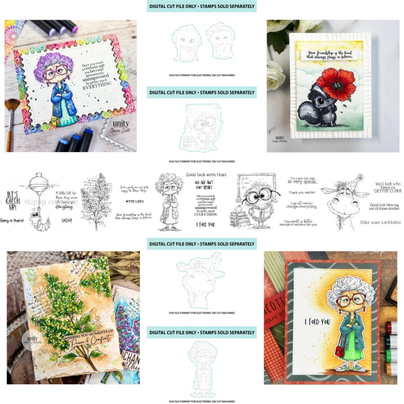 Teachers Like You Baby Matrice - Baby Food Book avis et prix